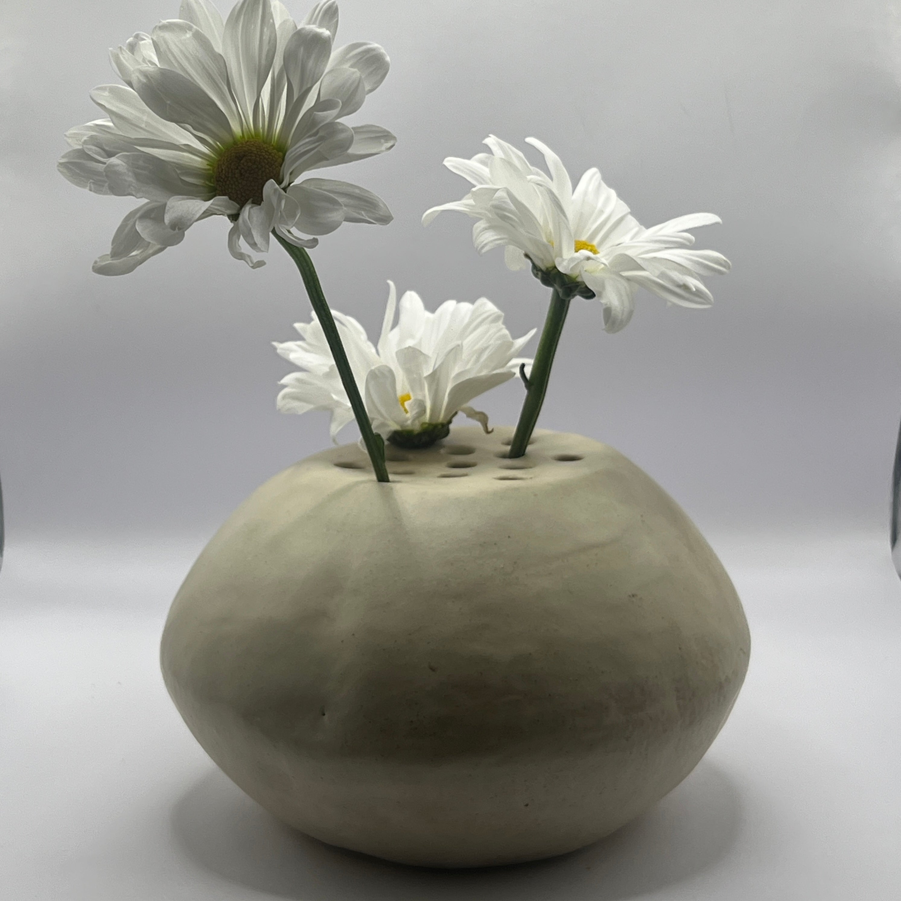 Flower Ikebana Display